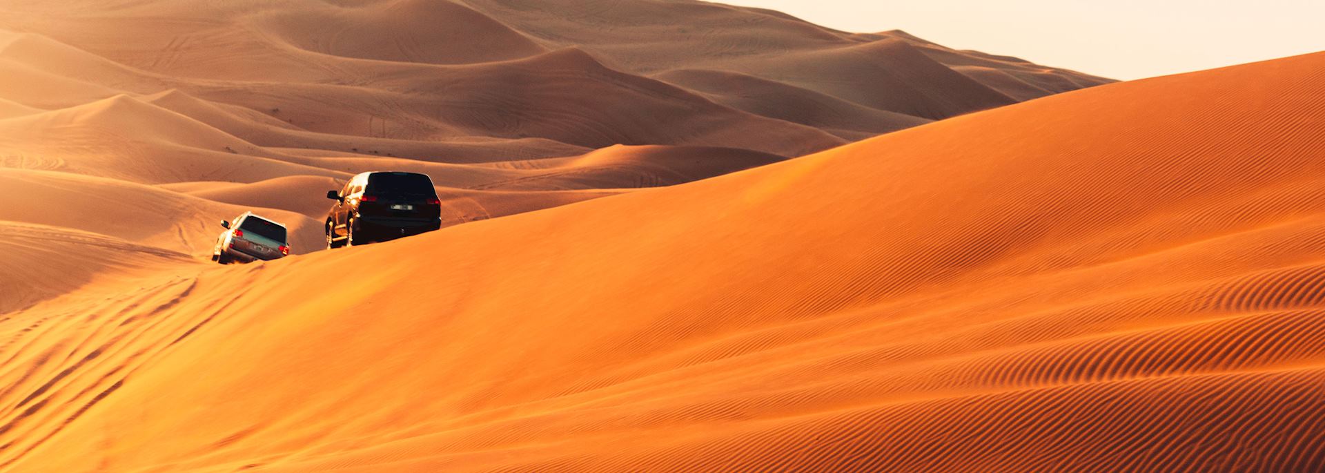 Arabian Desert near Dubai, UAE