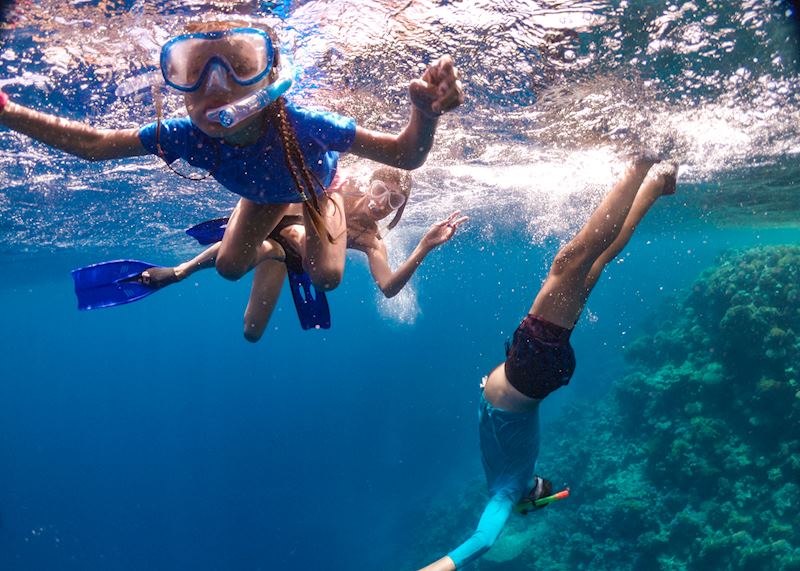 Snorkeling in Egypt's Red Sea