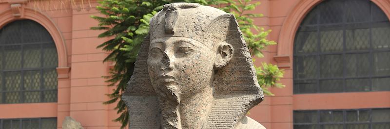 Sphinx outside the Cairo Museum