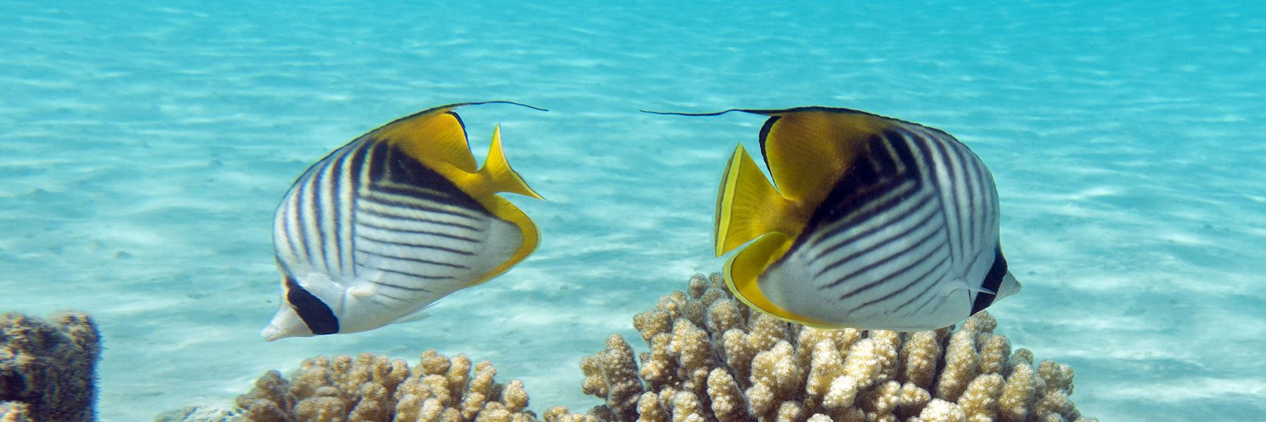 Egypt holidays