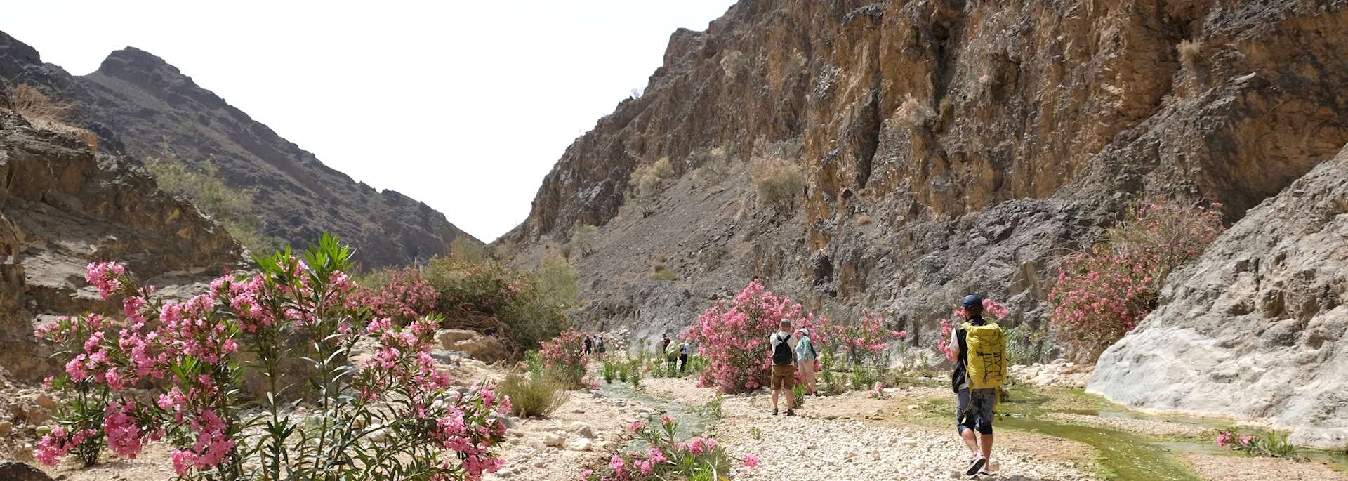 Trekking in Dana Biosphere Reserve