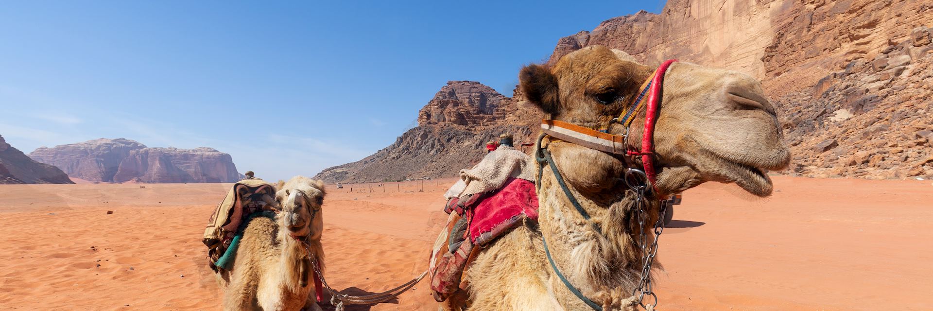 Desert transportation in Jordan