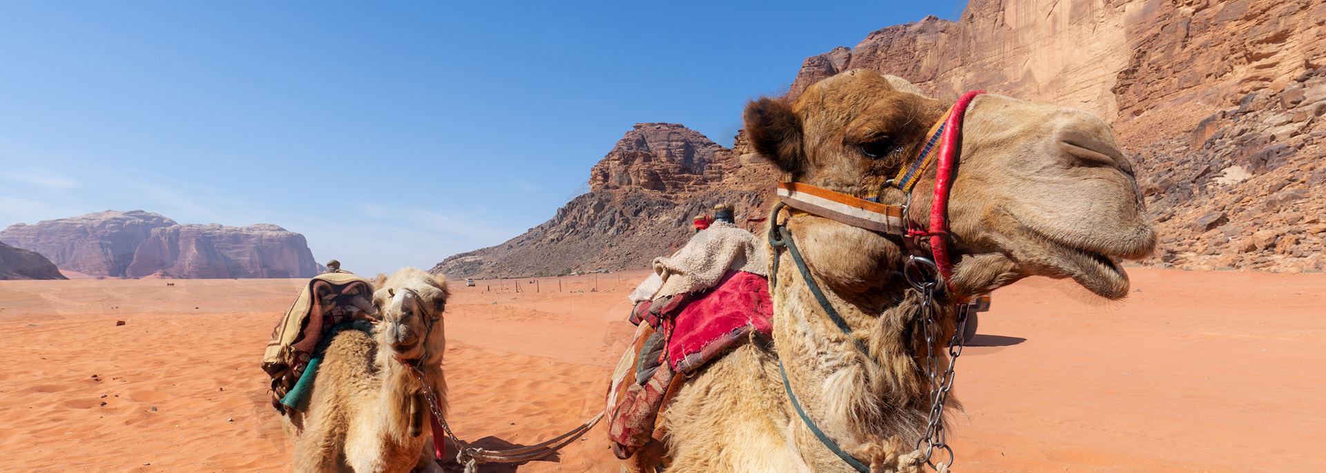 Desert transportation in Jordan