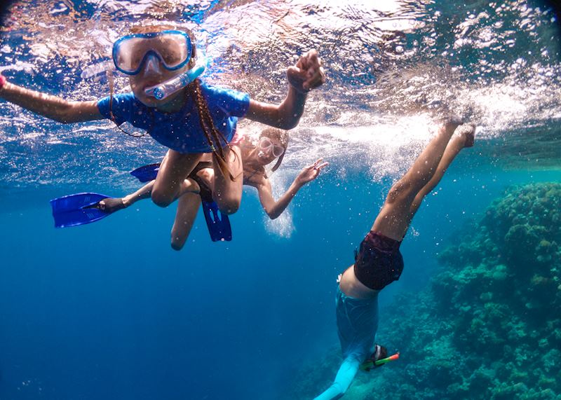 Family snorkeling in the Red Sea