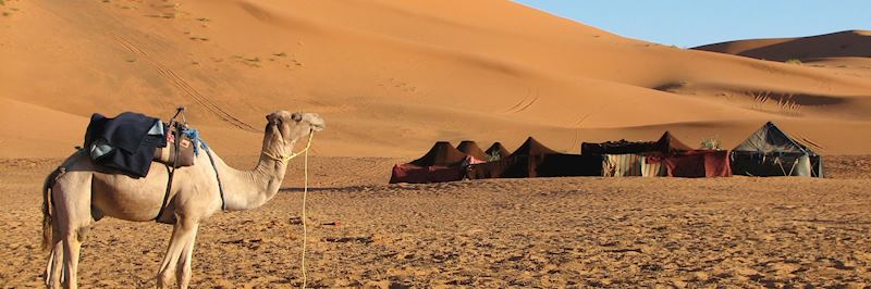 An Amazigh camp in the Moroccan Desert