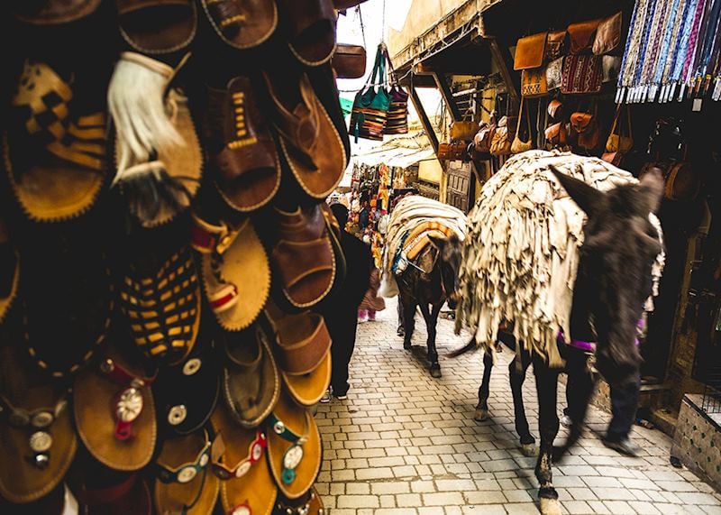 Mule, Medina, Fez