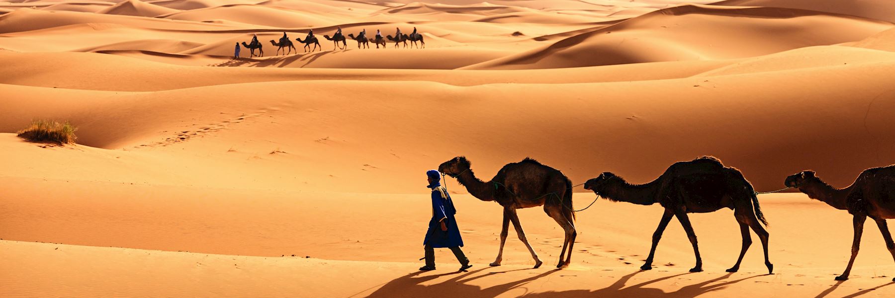 Experts in tailor-made holidays to North Africa & the Middle East