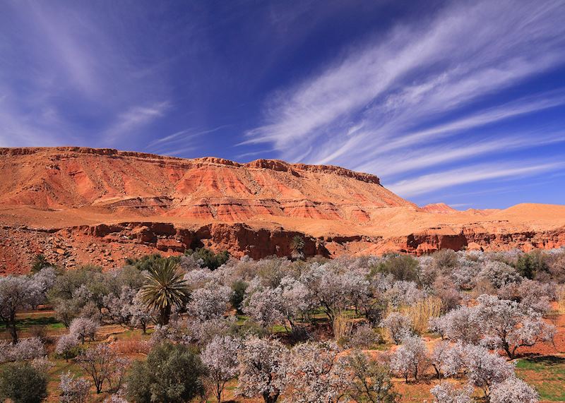 High Atlas Mountains