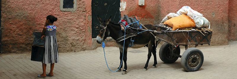 Medina in Marrakesh
