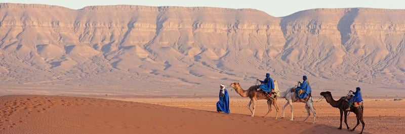 Camel train in the Erg Chebbi