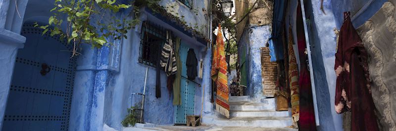 Brightly painted houses in Chefchaouen