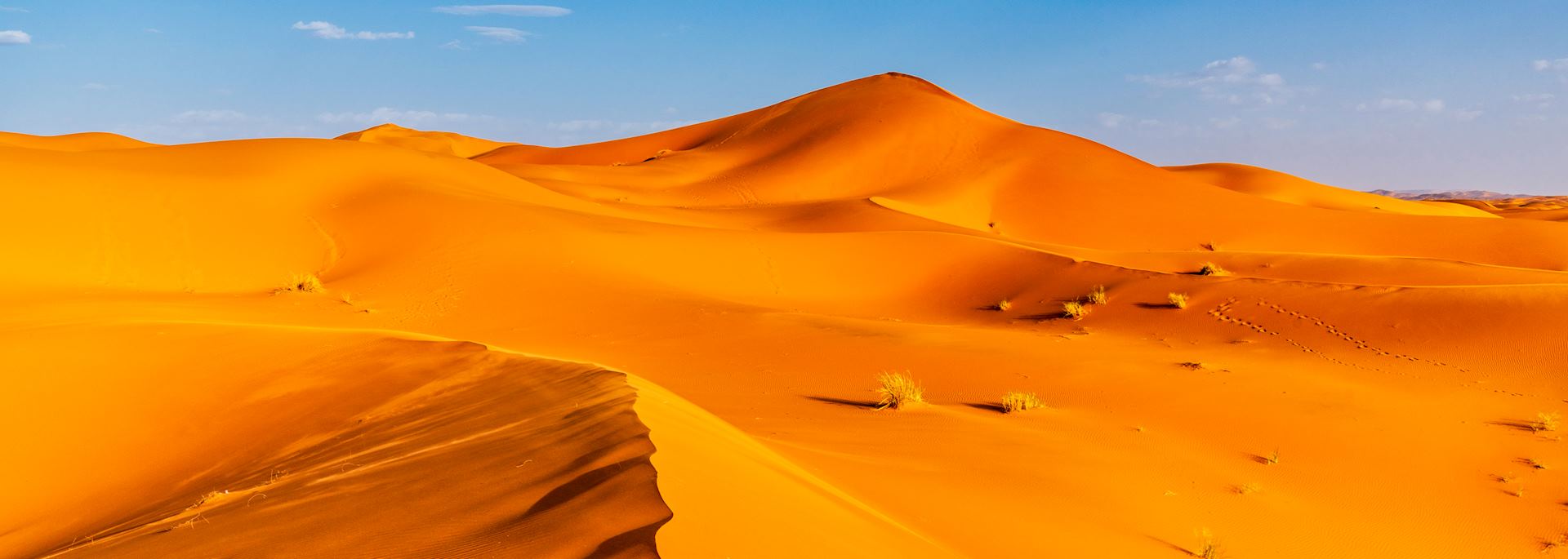 The Erg Chebbi, Sahara Desert