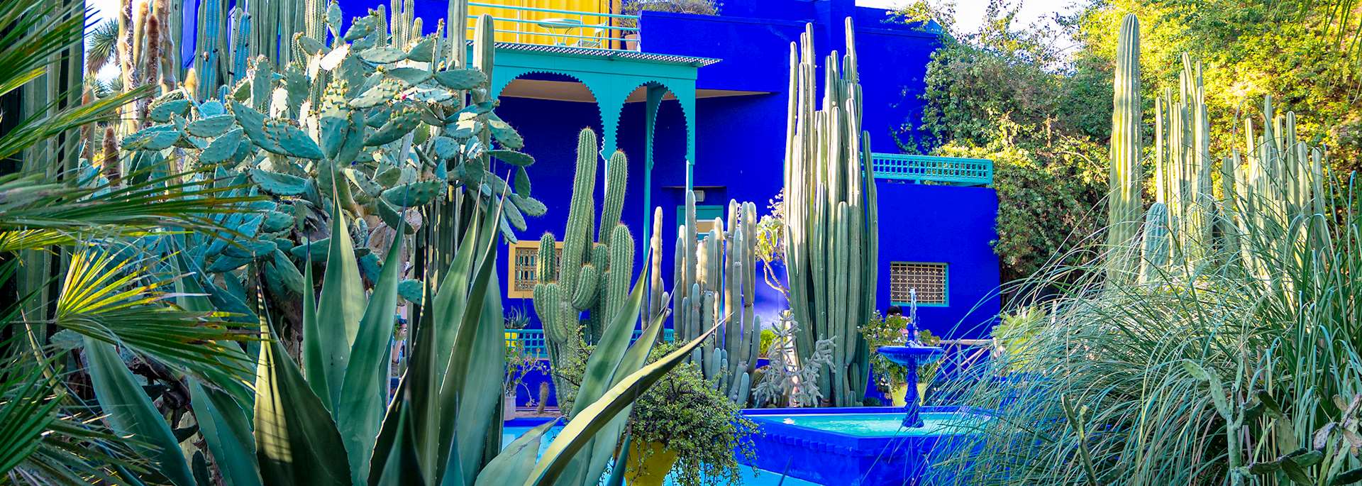 Majorelle Gardens, Marrakesh