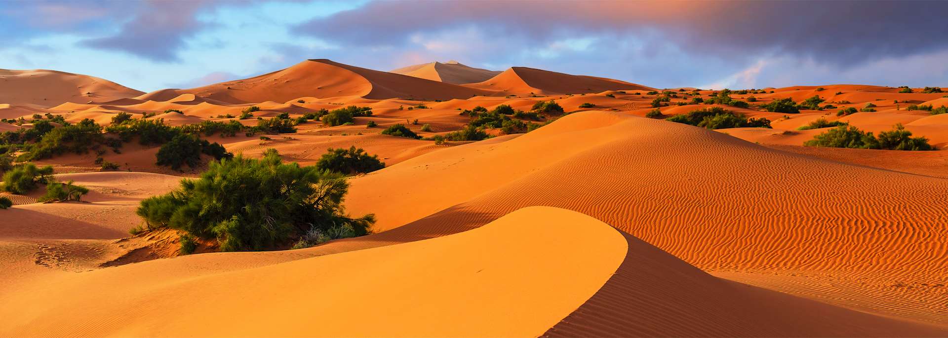Dunes in the Erg Chebbi