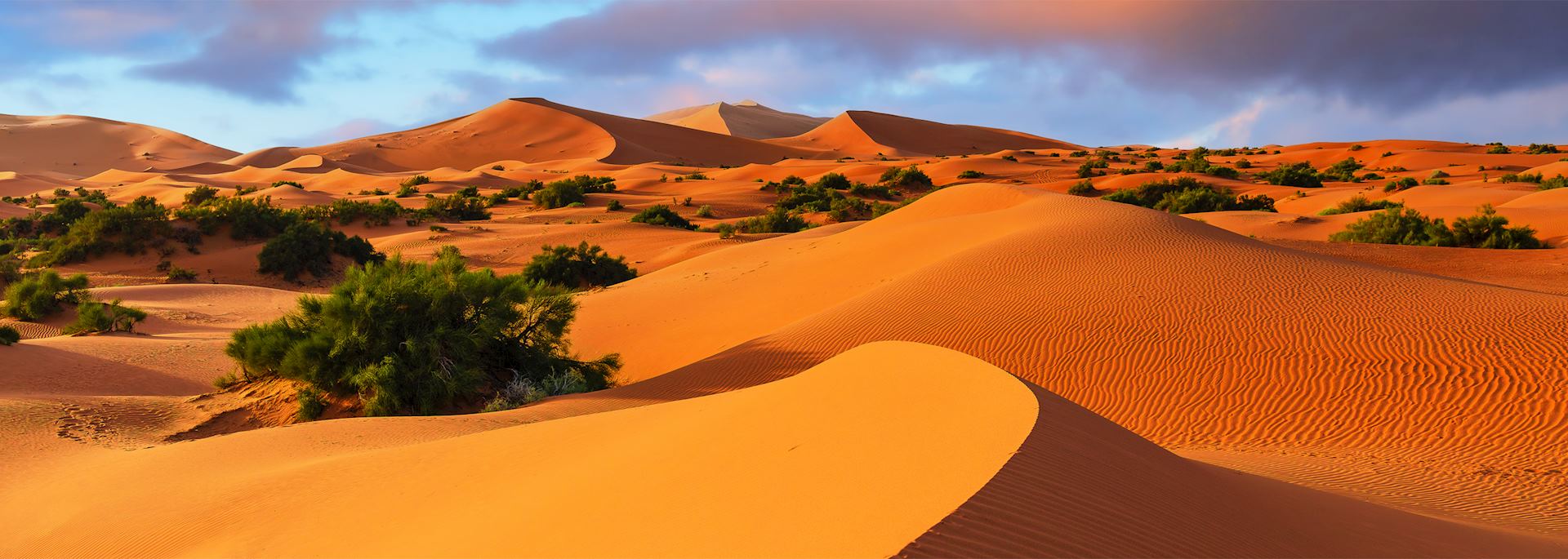Dunes in the Erg Chebbi
