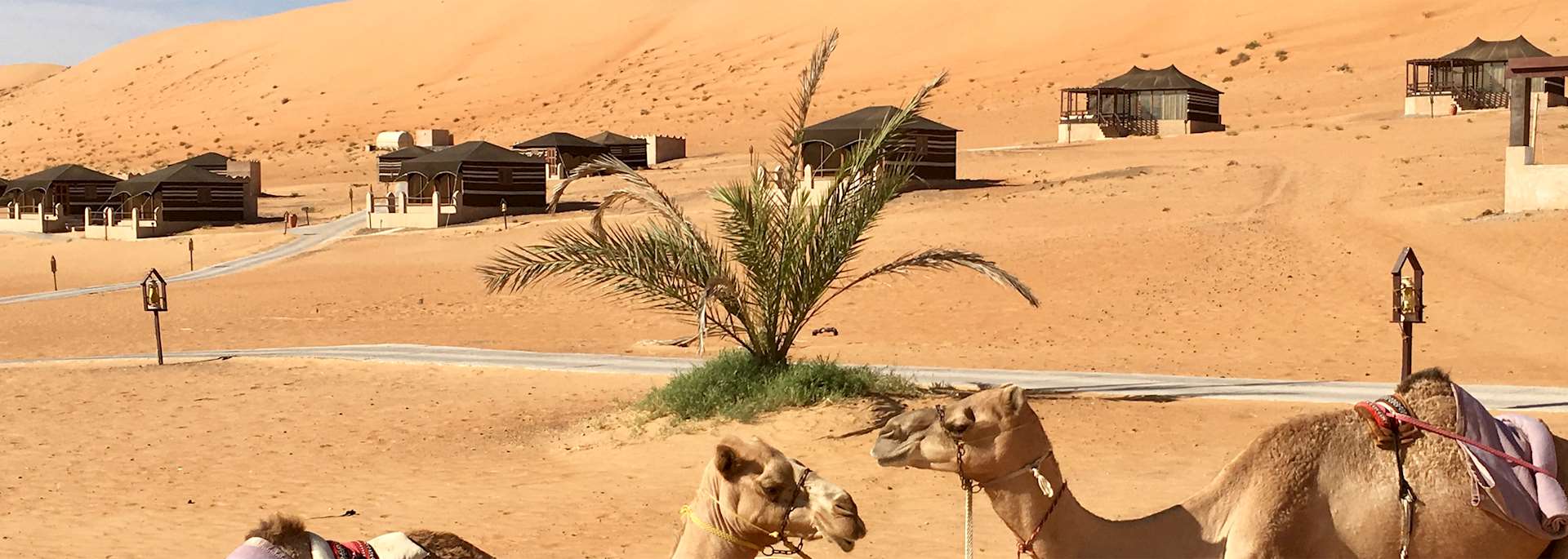 Thousand Nights Camp, Wahiba Sands