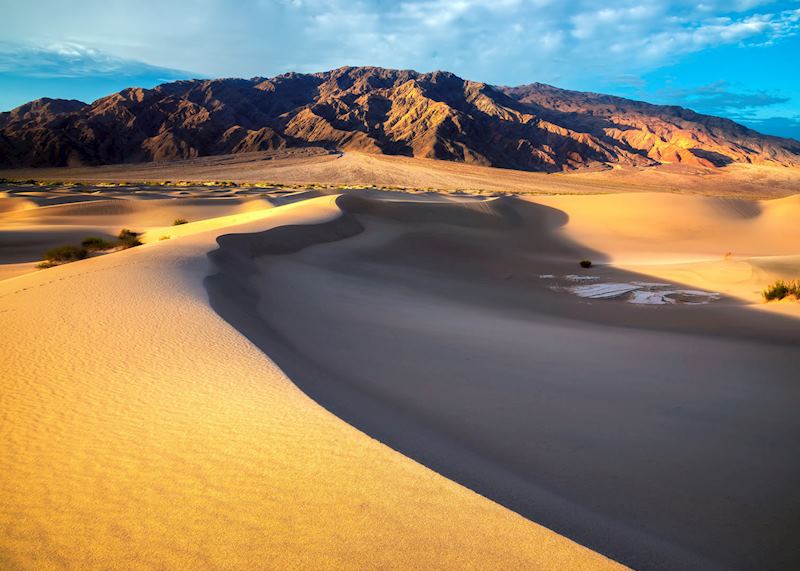 Wahiba Sands