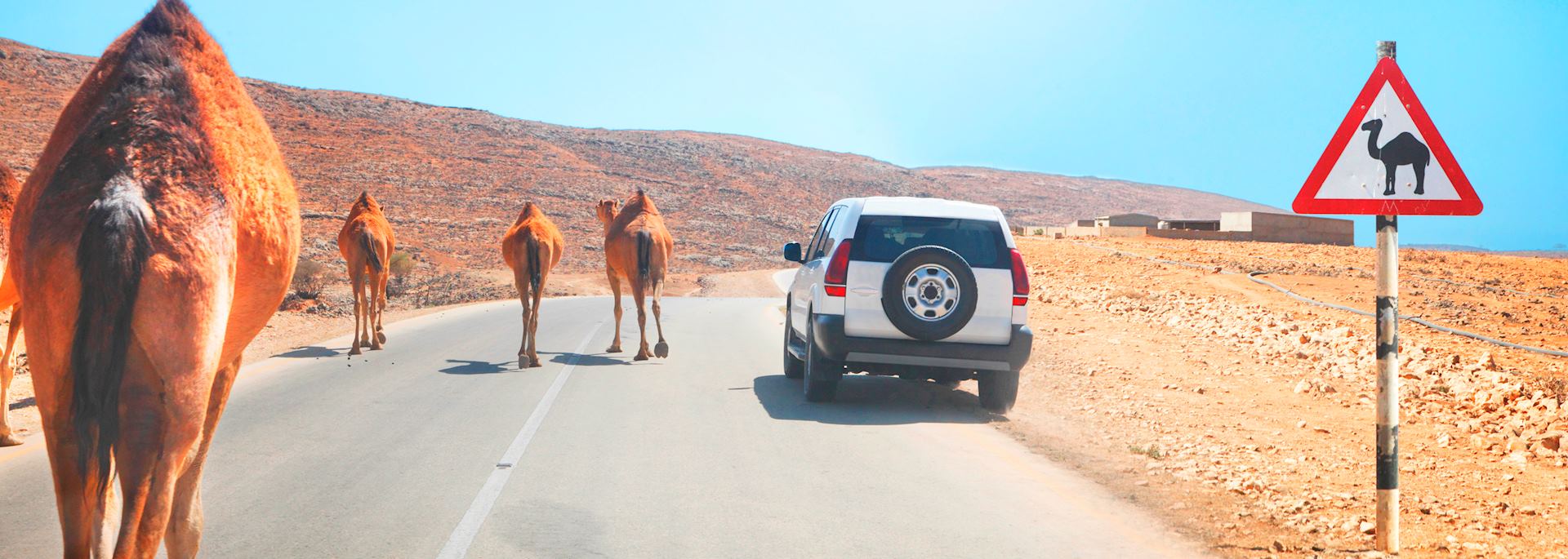Driving in Oman