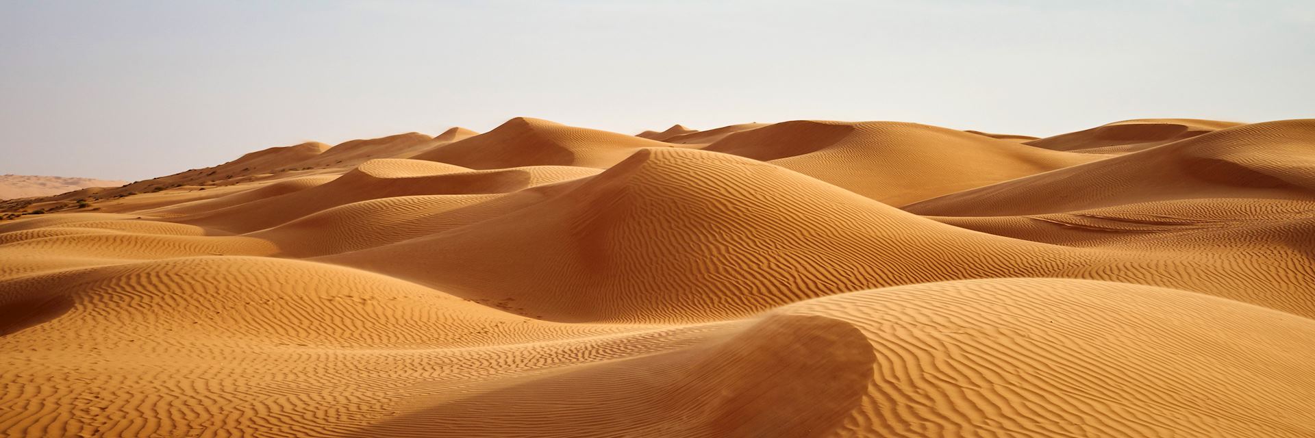 Desert dunes in Oman's Empty Quarter