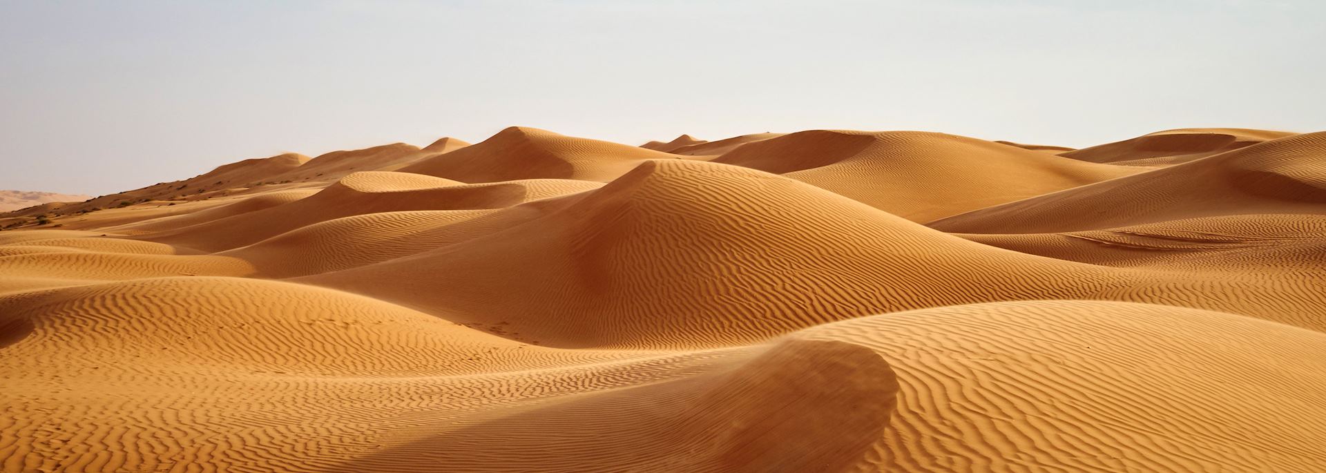 Desert dunes in Oman's Empty Quarter