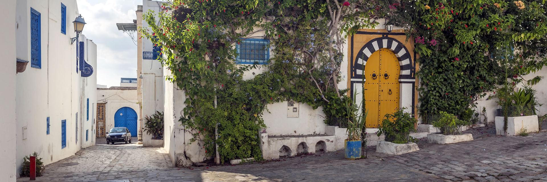 Sidi Bou Said