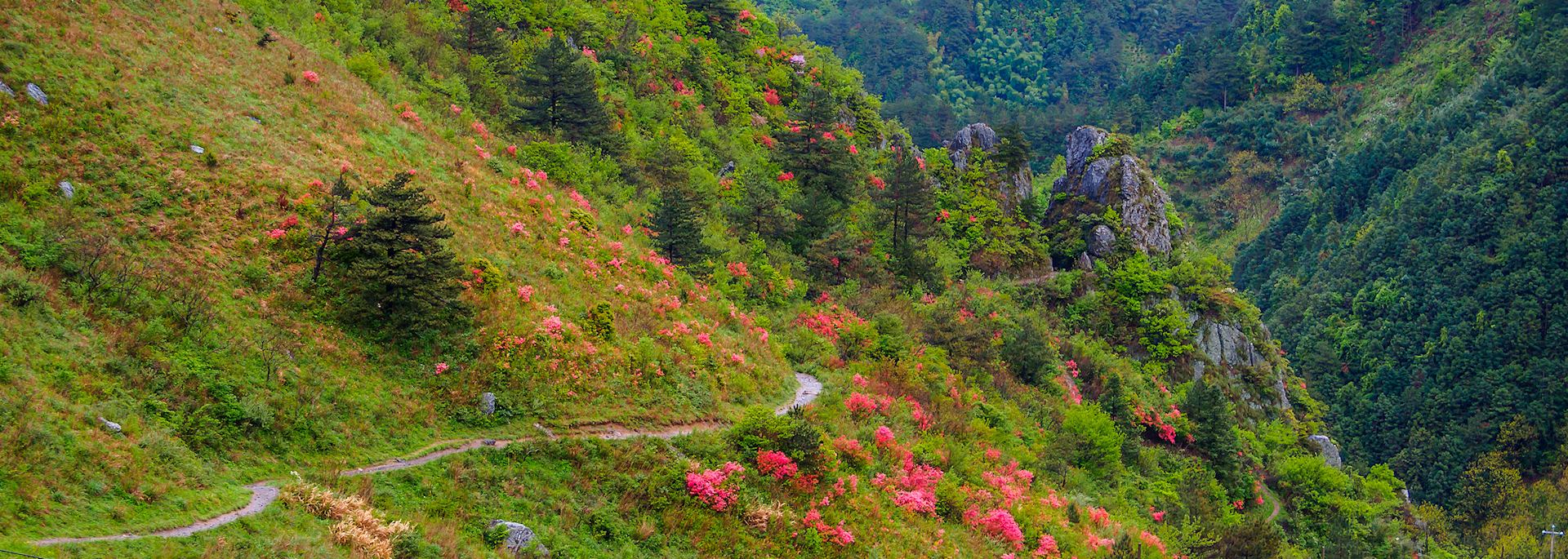Huihang ancient hiking trail