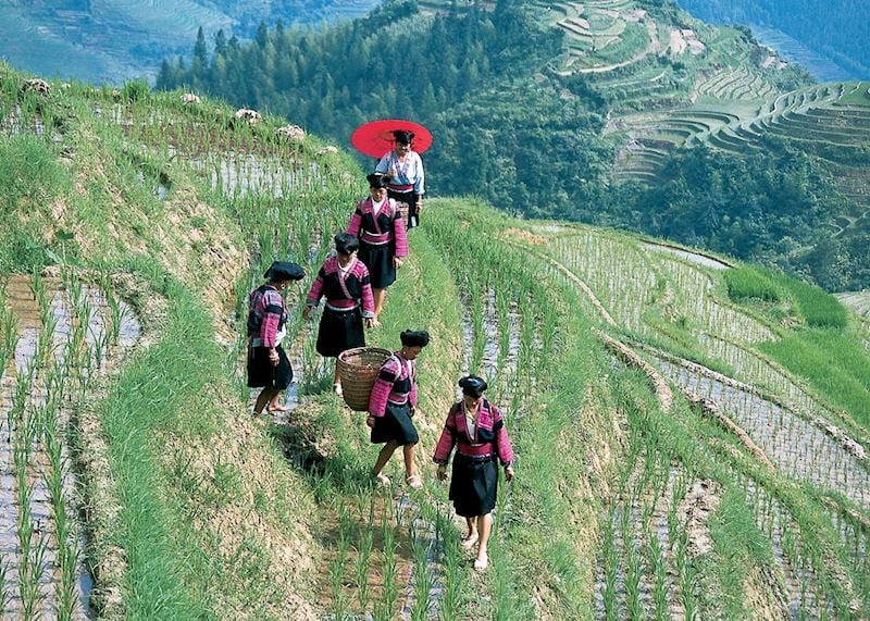 Dragon’s Backbone, Longji