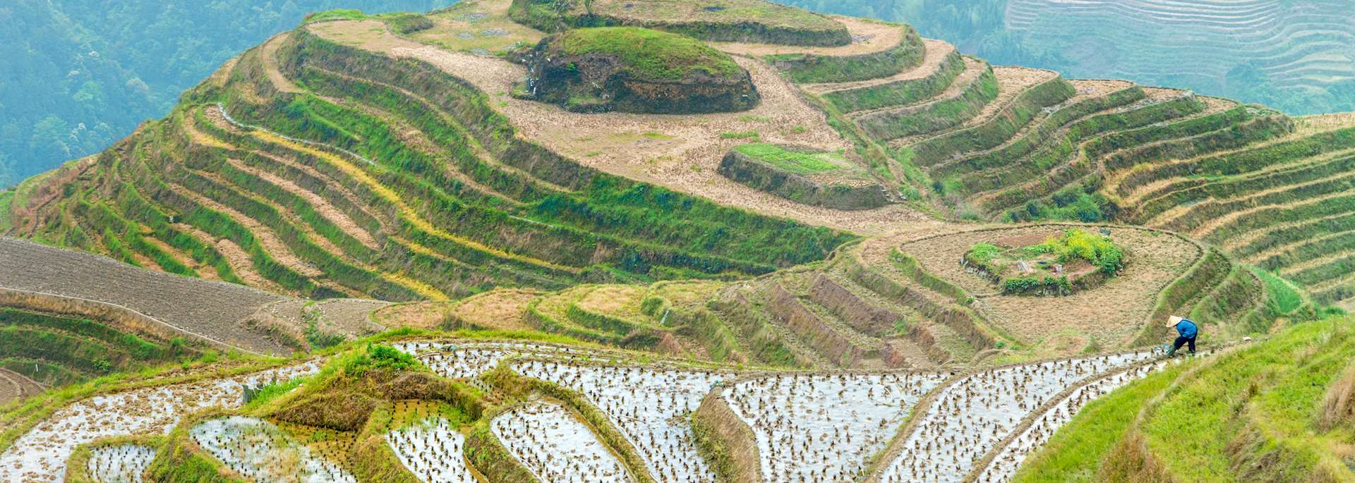 Rice terraces, Longji