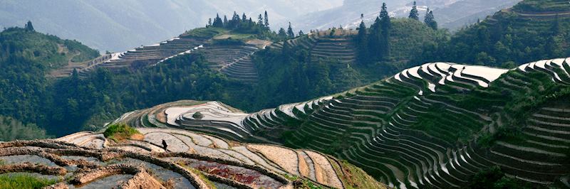 The Dragon's Backbone, Longji