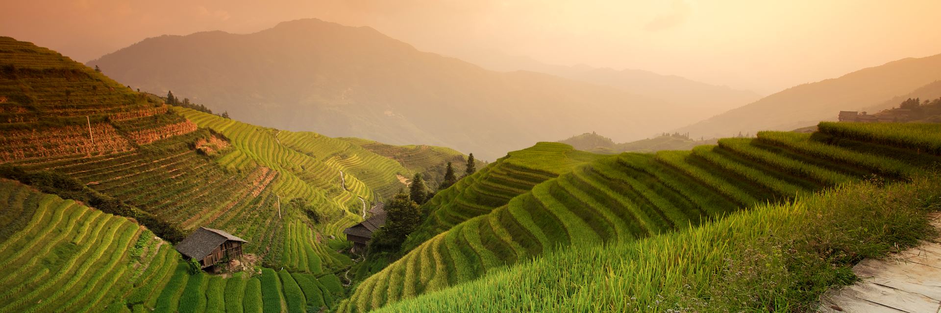 Rice terraces in Longji