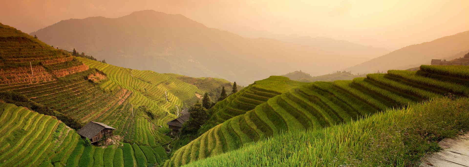 Rice terraces in Longji
