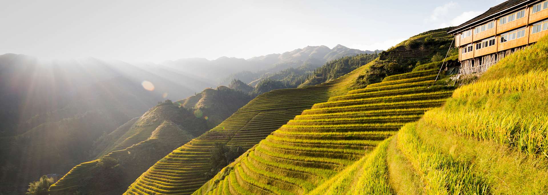 Rice terraces in Yuanyang