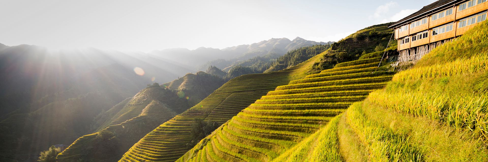 Rice terraces in Yuanyang