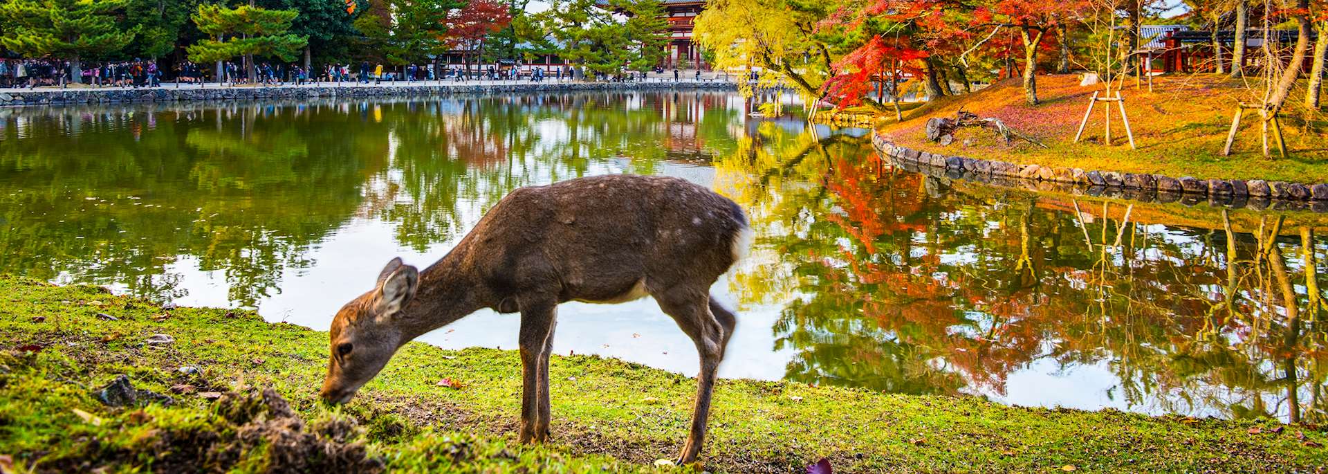 Nara