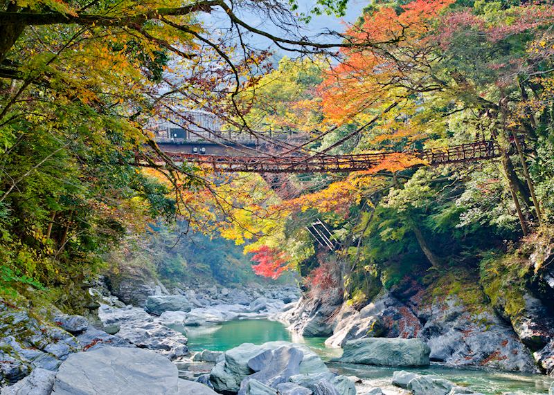 Vine bridge in Tokushima Prefecture, Shikoku