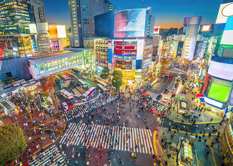Shibuya Crossing, Tokyo