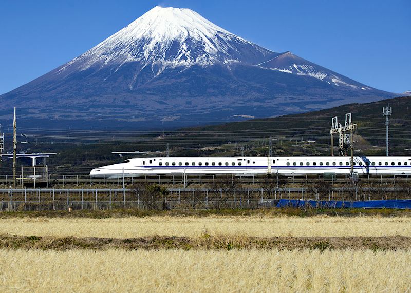Shinkansen (bullet train), Shizuoka