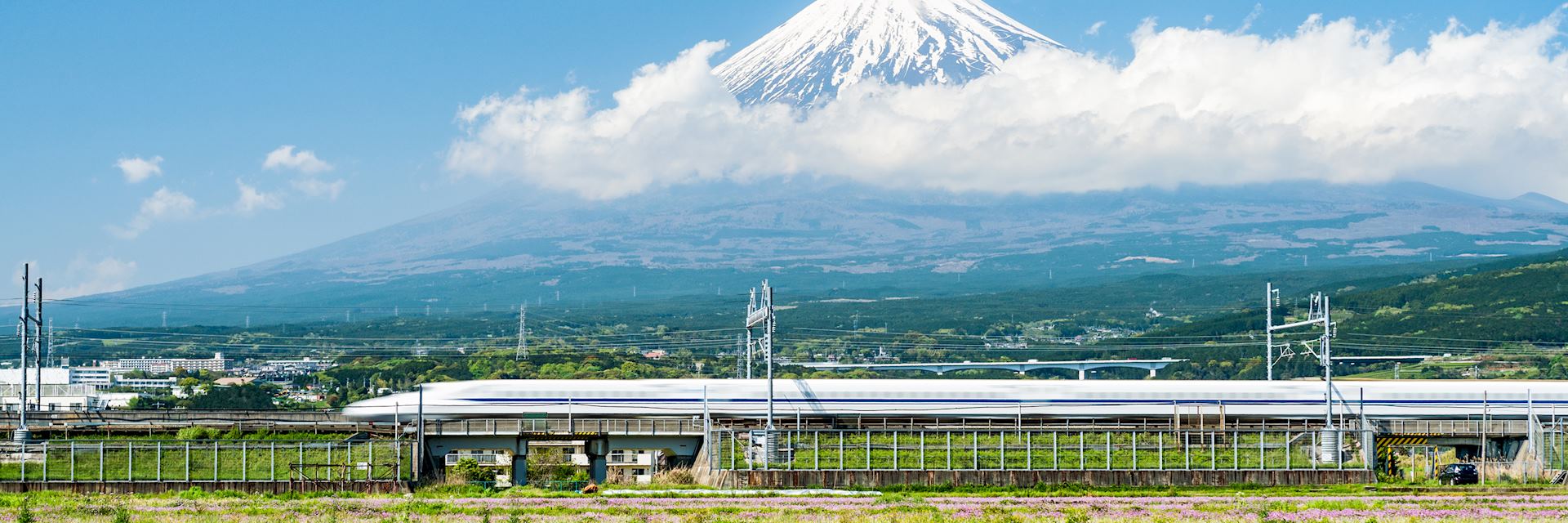 A bullet train passes Mount Fuji