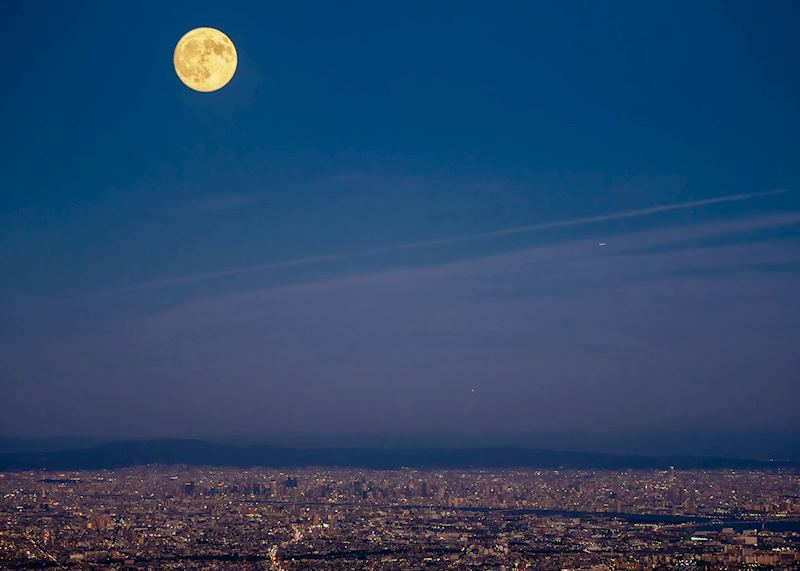 Harvest moon, Kobe