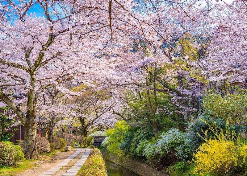 Philosopher’s Path, Kyoto
