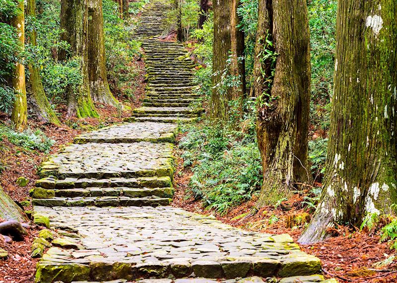 Kumano Kodo trail