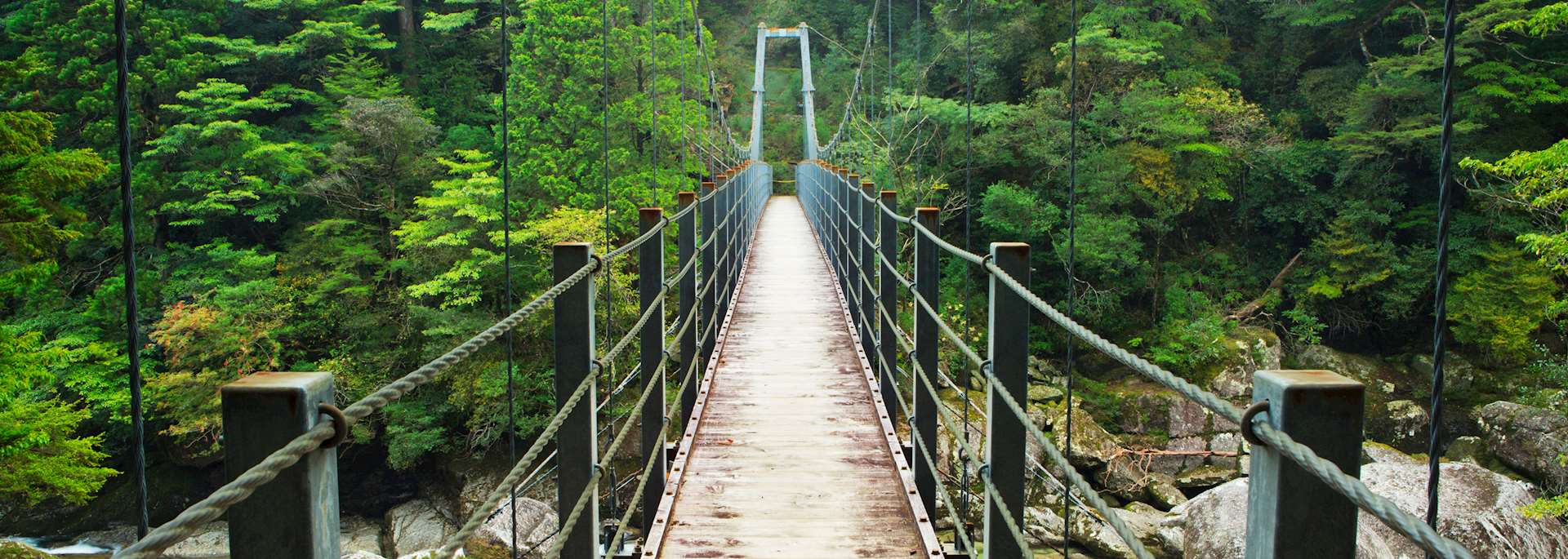 Yakushima Island