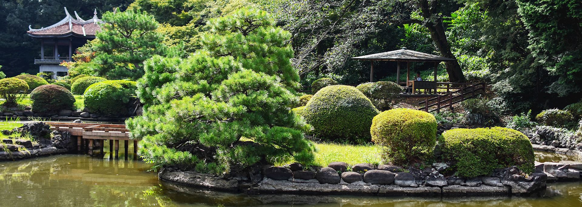 Shinjuku Gyoen garden, Tokyo