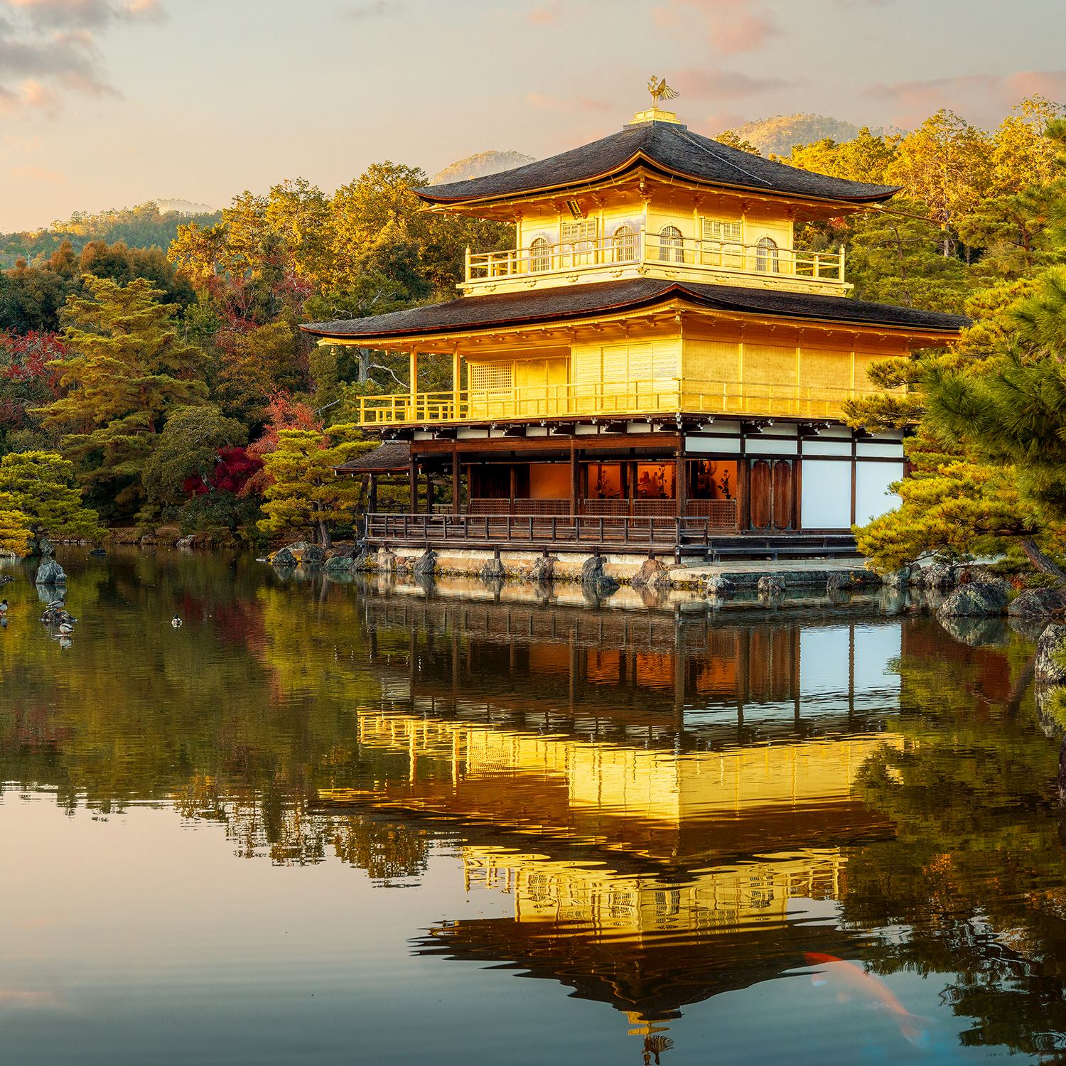 Golden Pavilion of Kinkaku-ji, Kyoto
