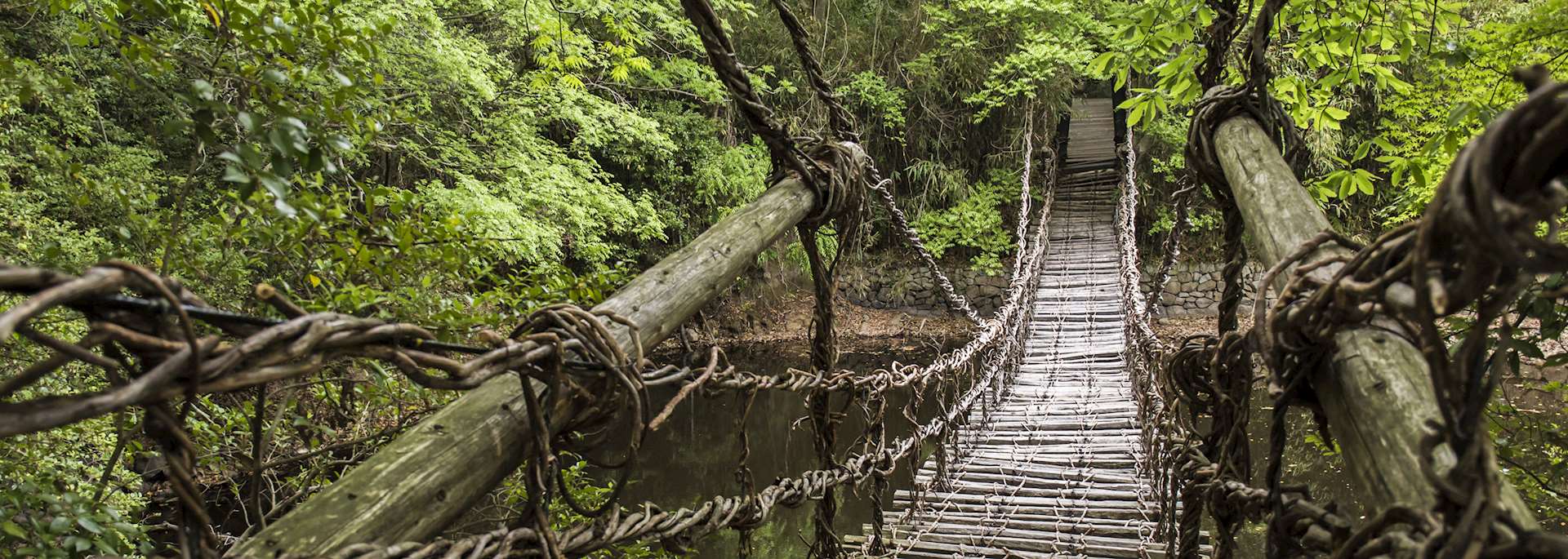 Vine Bridge, Iya Valley