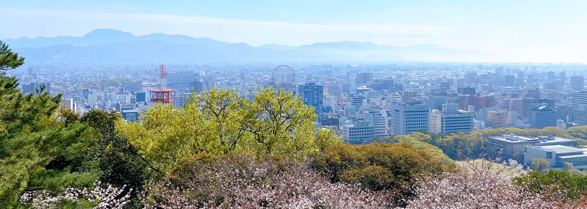 Matsuyama cityscape