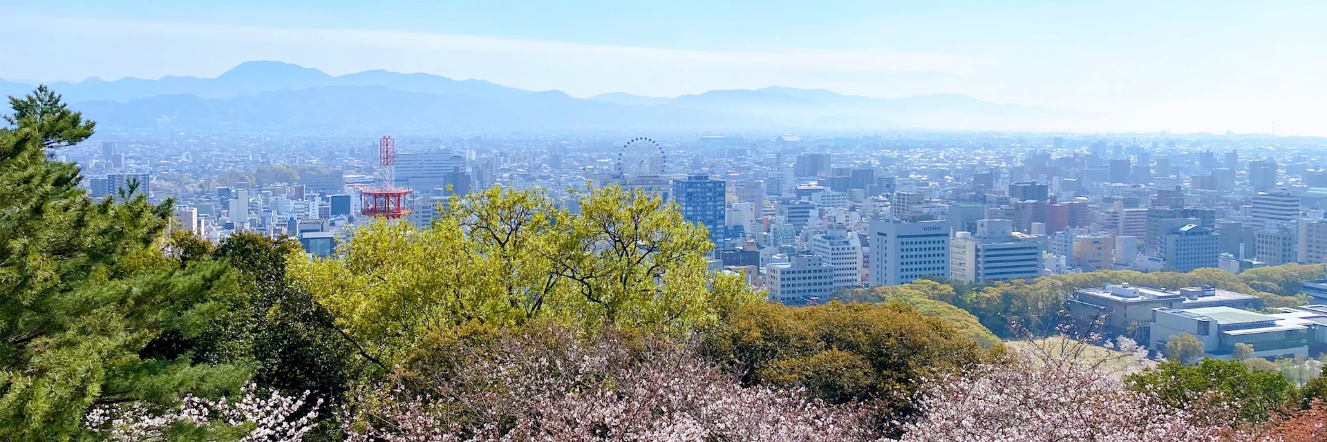 Matsuyama cityscape