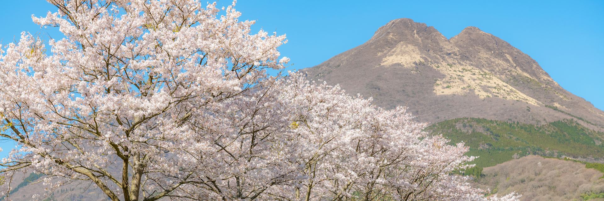 Mount Yufudake