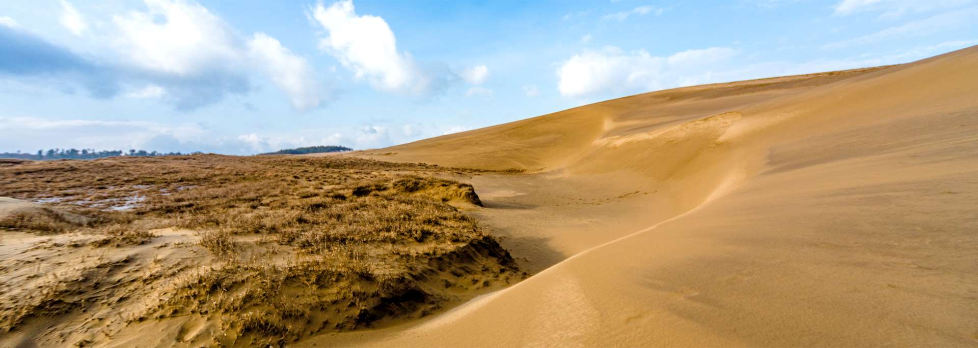 Tottori sand dunes