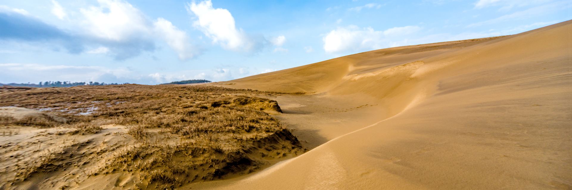 Tottori sand dunes